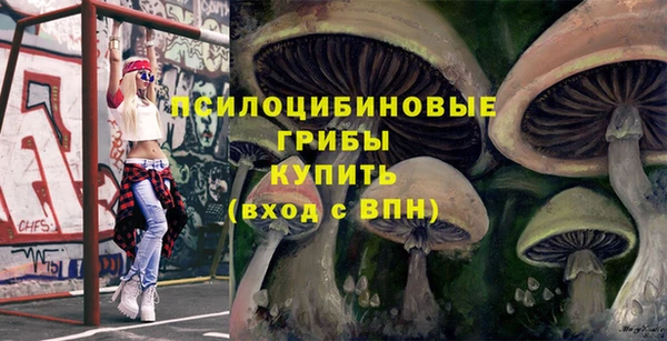 экстази Арсеньев