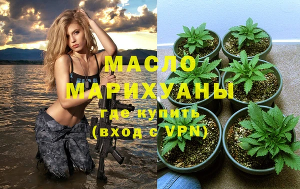 твердый Дмитровск