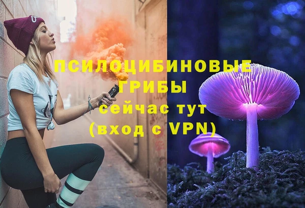 Альфа ПВП Аркадак