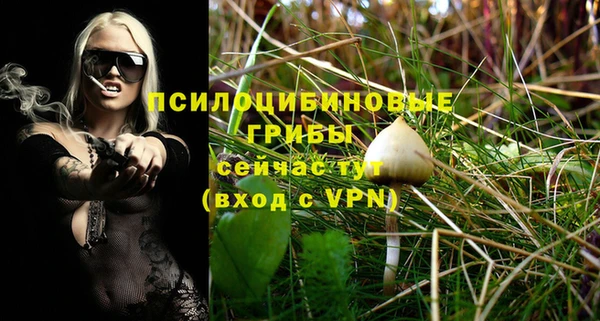 экстази Арсеньев
