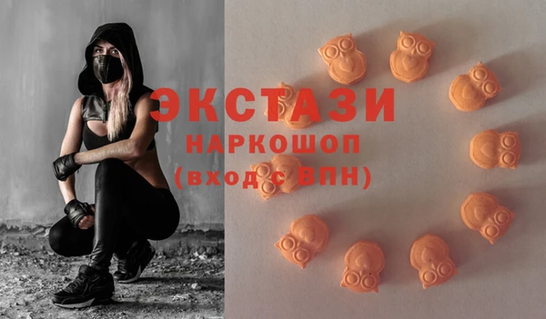 гидра Снежногорск