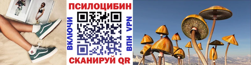 Псилоцибиновые грибы мухоморы  сайты даркнета как зайти  Судак 